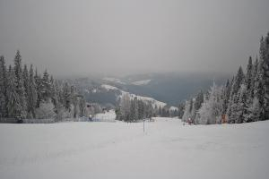 Wierchomla-Muszyna Dwie Doliny Wierchomla - górna stacja