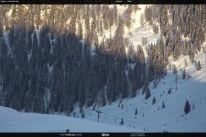 S. Martino di Castrozza / Passo Rolle S. Martino di Castrozza / Passo Rolle Tognola - Pista Scandola
