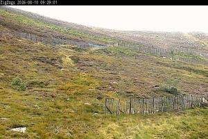 Kamera: Cairgorm Zigzags Webcam Cairgorm Cairgorm Zigzags Webcam