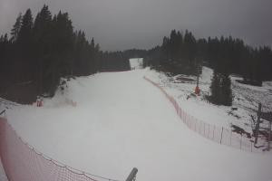 Kamera: Tylicz Ski Widok na stok Tylicz Tylicz Ski Widok na stok