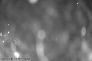 Szelment Szelment WOSiR Wyciąg