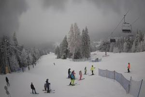 Kamera: Dwie Doliny Polanki Wierchomla-Muszyna Dwie Doliny Polanki