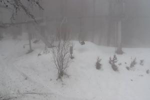 Kamera: Magura Małastowska Widok na stok Gorlice-Małastów Magura Małastowska Widok na stok