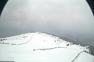 Kamera: Koralpe Steinschneider Koralpe Koralpe Steinschneider