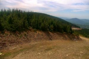 Szczyrk Szczyrk Mountain Resort Zbójnicka Kopa – 1205 m n.p.m.
