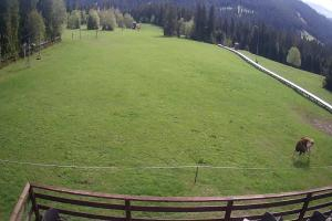 Małe Ciche Małe Ciche SN Wyciąg orczykowy Zgorzelisko