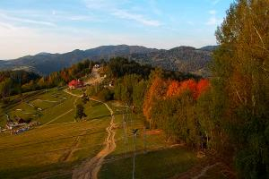 Szczawnica Palenica Szafranówka