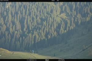 Kamera: S. Martino di Castrozza / Passo Rolle Tognola - Pista Scandola S. Martino di Castrozza / Passo Rolle S. Martino di Castrozza / Passo Rolle Tognola - Pista Scandola