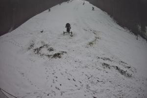 Kamera: Myślenice SN Widok z dolnej stacji Myślenice Myślenice SN Widok z dolnej stacji