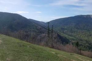 Zawoja - Mosorny Groń Zawoja Ski Widok na stok