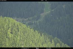 Kamera: San Martino di Castrozza - Passo Rolle Ces - Malga Valcigolera San Martino di Castrozza - Passo Rolle San Martino di Castrozza - Passo Rolle Ces - Malga Valcigolera
