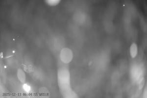 Kamera: Szelment WOSiR Wyciąg Szelment Szelment WOSiR Wyciąg