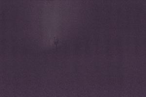 Kamera: Glenshee Livecam Glenshee Glenshee Livecam