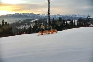 Kamera: Kotelnica Białczańska Kotelnica - widok na stok Białka Tatrzańska Kotelnica Białczańska Kotelnica - widok na stok