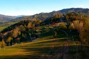 Szczawnica Palenica Szafranówka