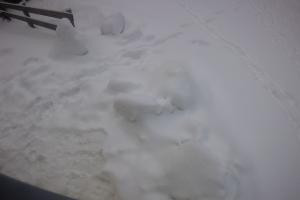 Rodelbahn Rodelbahn - Katschberg 