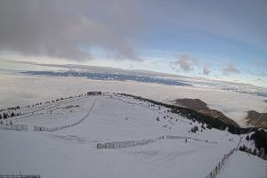 Kamera: Koralpe Steinschneider Koralpe Koralpe Steinschneider