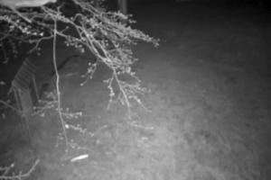 Kamera: Magura Małastowska Widok na stok Gorlice-Małastów Magura Małastowska Widok na stok