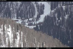 San Martino di Castrozza - Passo Rolle San Martino di Castrozza - Passo Rolle Ces - Malga Valcigolera