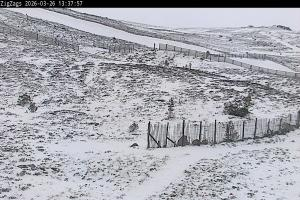 Cairgorm Cairgorm Zigzags Webcam