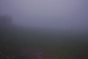 Bukowina Tatrzańska Zwyrtlik Widok na stok