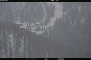 San Martino di Castrozza - Passo Rolle San Martino di Castrozza - Passo Rolle Ces - Malga Valcigolera