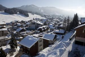 Les Gets Portes du Solei Livecam