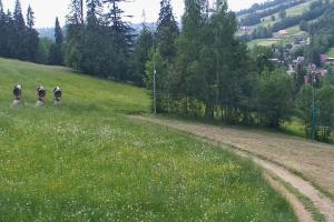 Kamera: Ski Suche U Jędrola Stacja dolna Poronin Ski Suche U Jędrola Stacja dolna