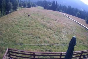Małe Ciche Małe Ciche SN Wyciąg orczykowy Zgorzelisko