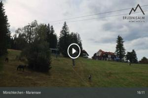 Kamera: