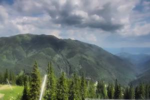 Kamera: Jasna - Chopok Kosodrevina - 1.488 m n.m. Jasna Jasna - Chopok Kosodrevina - 1.488 m n.m.