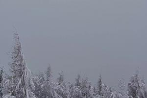 Kamera: Jaworzyna Krynicka Widok na szczyt Jaworzyny (1114 m n.p.m) Krynica Jaworzyna Krynicka Widok na szczyt Jaworzyny (1114 m n.p.m)