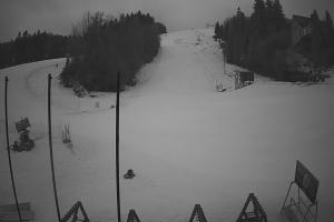 Ustrzyki Dolne Gromadzyń Dolna Stacja