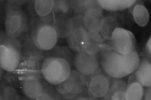 Kamera: Jasna - Chopok Záhradky II. - 1.028 m n.m. Jasna Jasna - Chopok Záhradky II. - 1.028 m n.m.