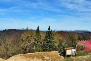 Krynica Jaworzyna Krynicka Widok na szczyt Jaworzyny (1114 m n.p.m)