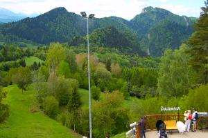 Kamera: Palenica Widok na stok Szczawnica Palenica Widok na stok