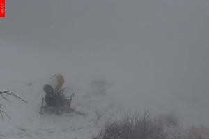Kamera: Černá hora (Czarna Góra) Hofmanky, 1050 m n.p.m. Černá hora Černá hora (Czarna Góra) Hofmanky, 1050 m n.p.m.