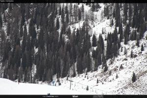 S. Martino di Castrozza / Passo Rolle S. Martino di Castrozza / Passo Rolle Tognola - Pista Scandola