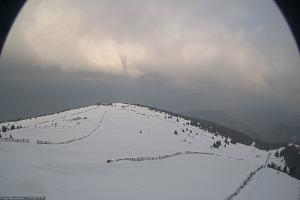 Kamera: Koralpe Steinschneider Koralpe Koralpe Steinschneider