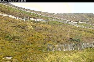 Kamera: Cairgorm Zigzags Webcam Cairgorm Cairgorm Zigzags Webcam