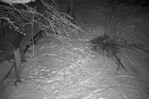 Kamera: Magura Małastowska Widok na stok Gorlice-Małastów Magura Małastowska Widok na stok