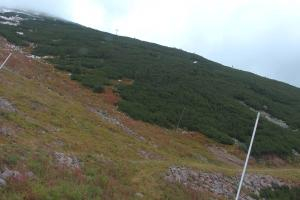 Kamera: Jasna - Chopok Predné Dereše - 1.646 m n. m. Jasna Jasna - Chopok Predné Dereše - 1.646 m n. m.