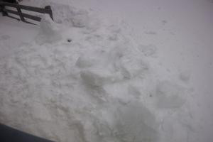 Rodelbahn Rodelbahn - Katschberg 