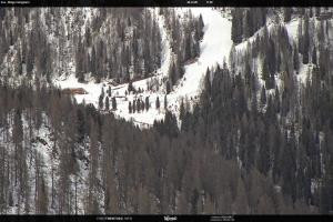 San Martino di Castrozza - Passo Rolle San Martino di Castrozza - Passo Rolle Ces - Malga Valcigolera