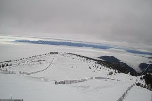 Kamera: Koralpe Steinschneider Koralpe Koralpe Steinschneider