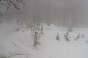 Kamera: Magura Małastowska Widok na stok Gorlice-Małastów Magura Małastowska Widok na stok