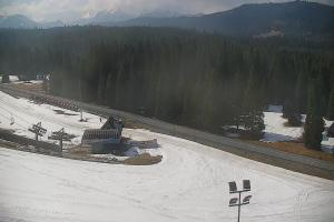 Jurgów Jurgów Ski Widok na stok