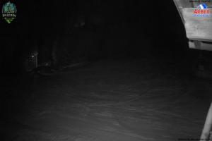 Kamera: Grosser Arber Blick Thurnhofhang Grosser Arber Grosser Arber Blick Thurnhofhang