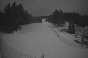 Kamera: Tylicz Ski Widok na stok Tylicz Tylicz Ski Widok na stok