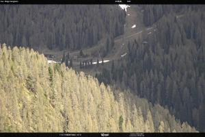 San Martino di Castrozza - Passo Rolle San Martino di Castrozza - Passo Rolle Ces - Malga Valcigolera
